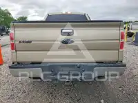 2010 Ford F-150 photo
