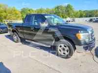 2010 Ford F-150 фото