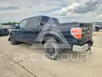 2010 Ford F-150 photo