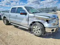 2010 Ford F-150 photo
