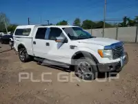 2010 Ford F-150 photo