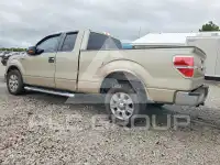2010 Ford F-150 photo