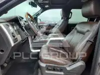 2010 Ford F-150 photo
