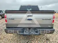 2010 Ford F-150 photo