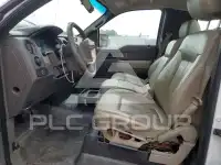 2010 Ford F-150 photo