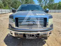 2010 Ford F-150 photo