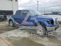 2010 Ford F-150 фото