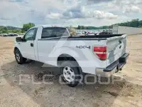 2010 Ford F-150 фото