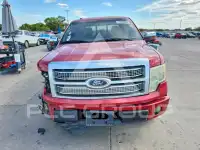 2010 Ford F-150 photo