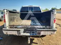2010 Ford F-150 photo