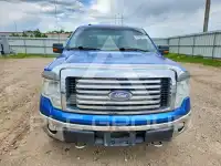 2010 Ford F-150 фото