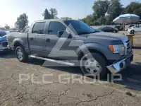 2010 Ford F-150 photo