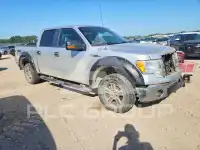 2010 Ford F-150 photo