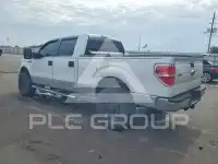 2010 Ford F-150 photo
