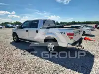 2010 Ford F-150 photo