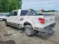 2010 Ford F-150 photo