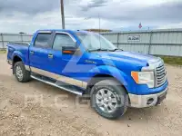 2010 Ford F-150 фото