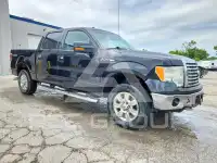 2010 Ford F-150 photo