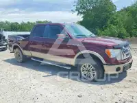 2010 Ford F-150 photo