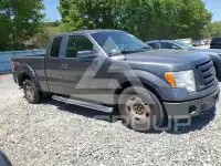 2010 Ford F-150 photo