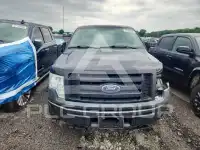 2010 Ford F-150 photo