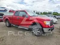 2010 Ford F-150 фото