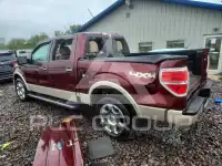 2010 Ford F-150 photo