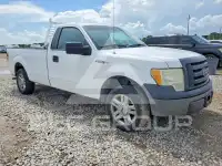 2010 Ford F-150 photo