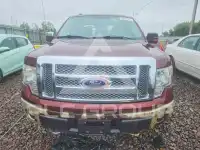 2010 Ford F-150 photo