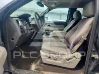 2010 Ford F-150 photo