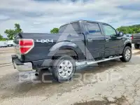 2010 Ford F-150 photo