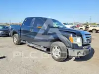 2010 Ford F-150 photo