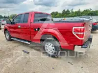 2010 Ford F-150 фото