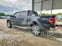 2010 Ford F-150 photo