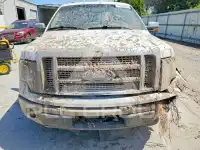 2010 Ford F-150 фото