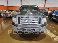 2010 Ford F-150 фото