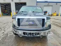 2010 Ford F-150 photo