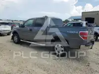 2010 Ford F-150 photo