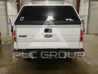 2010 Ford F-150 photo