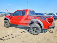 2010 Ford F-150 photo
