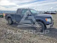 2010 Ford F-150 фото