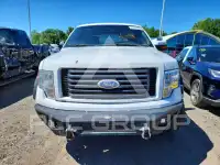 2010 Ford F-150 фото