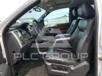 2010 Ford F-150 photo