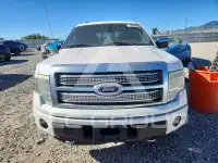 2010 Ford F-150 фото
