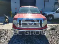 2010 Ford F-150 photo