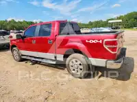 2010 Ford F-150 photo