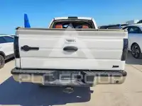 2010 Ford F-150 photo