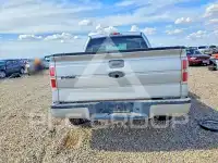 2010 Ford F-150 фото