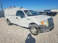 2010 Ford F-150 фото