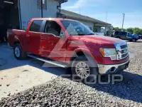 2010 Ford F-150 photo
